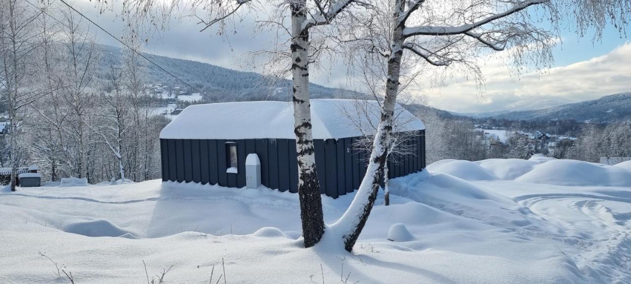 Vila Level780 Koszarawa Exteriér fotografie